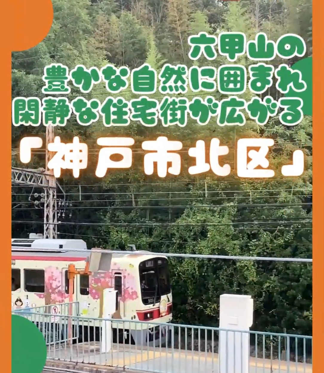 認定こども園　このみ保育園 動画 保育士