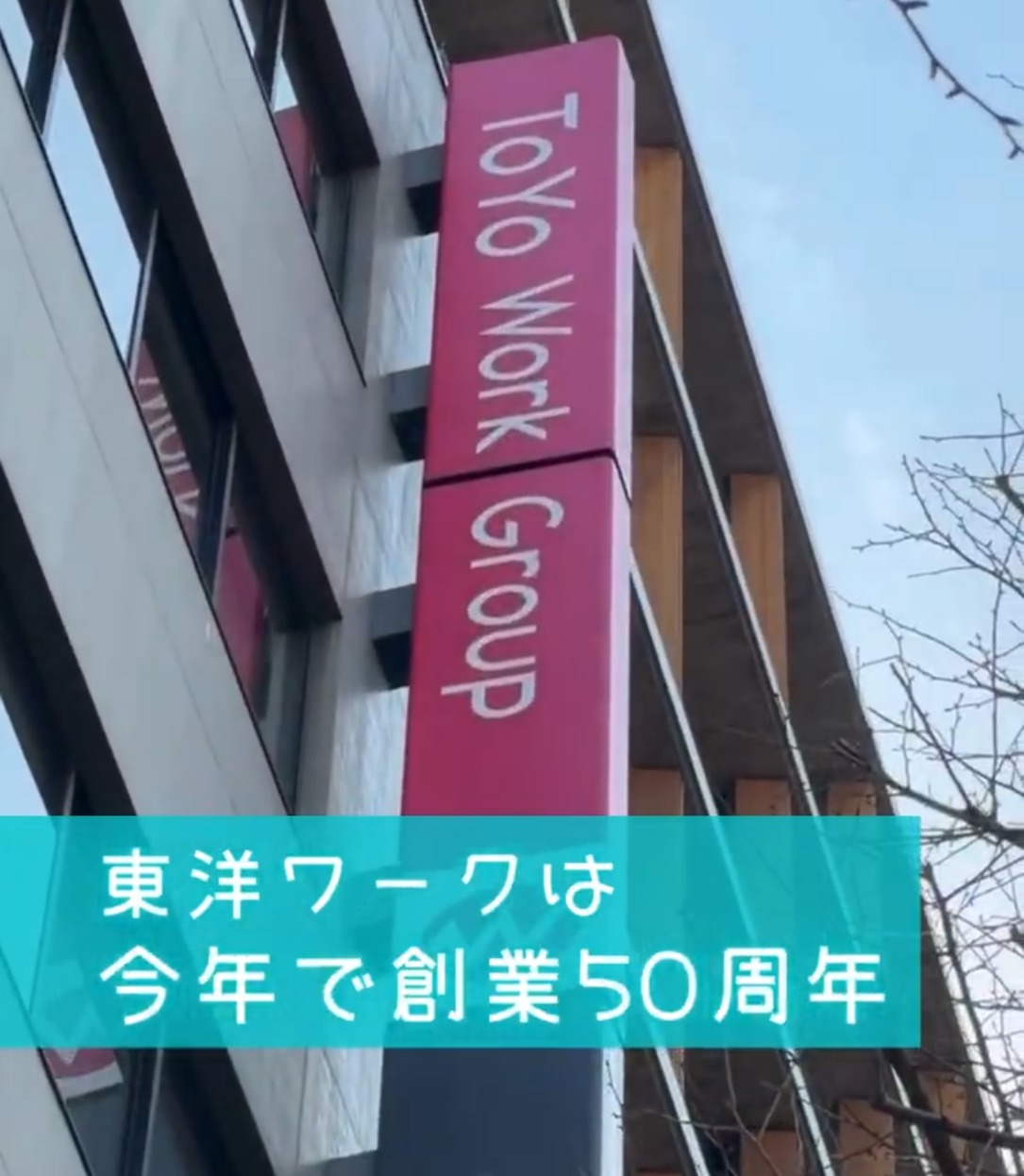 東洋ワーク株式会社/354299-030-113849 動画 検品・検査