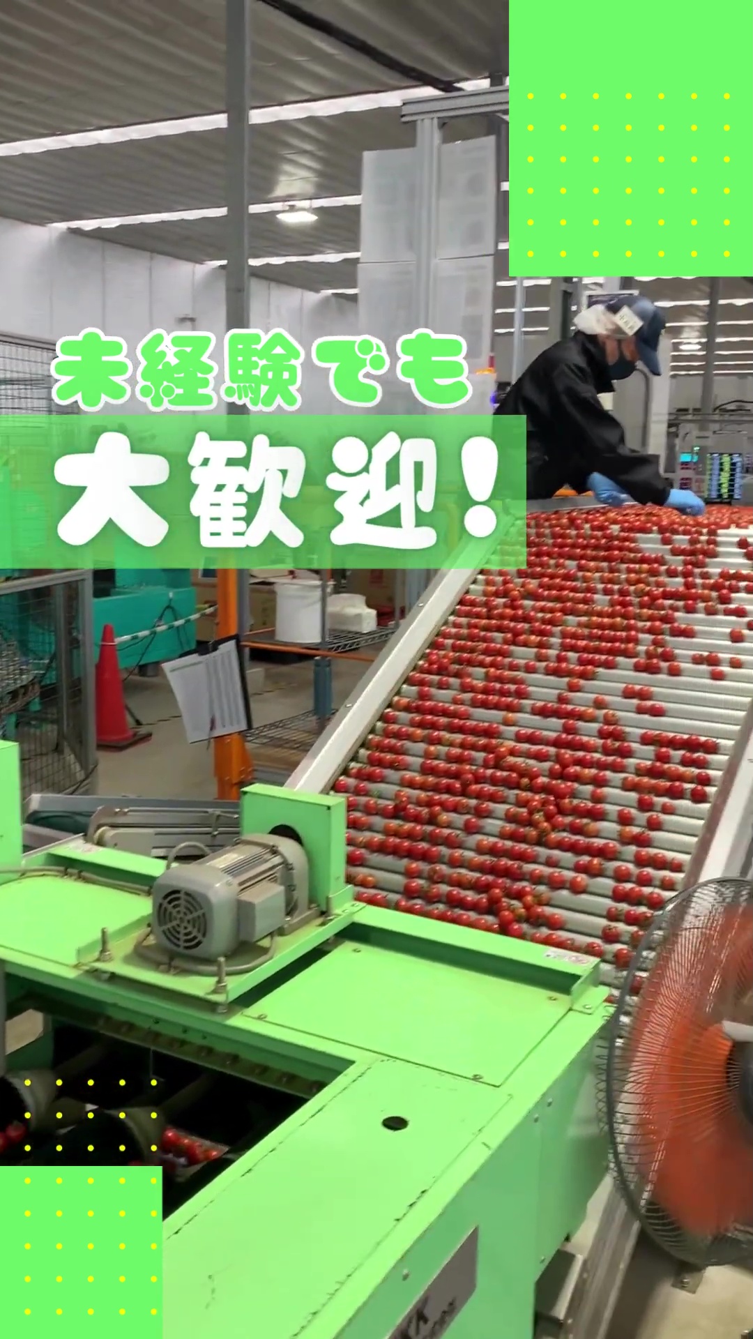 株式会社たねまき常総（ソフトバンクグループ） 動画 ピッキング