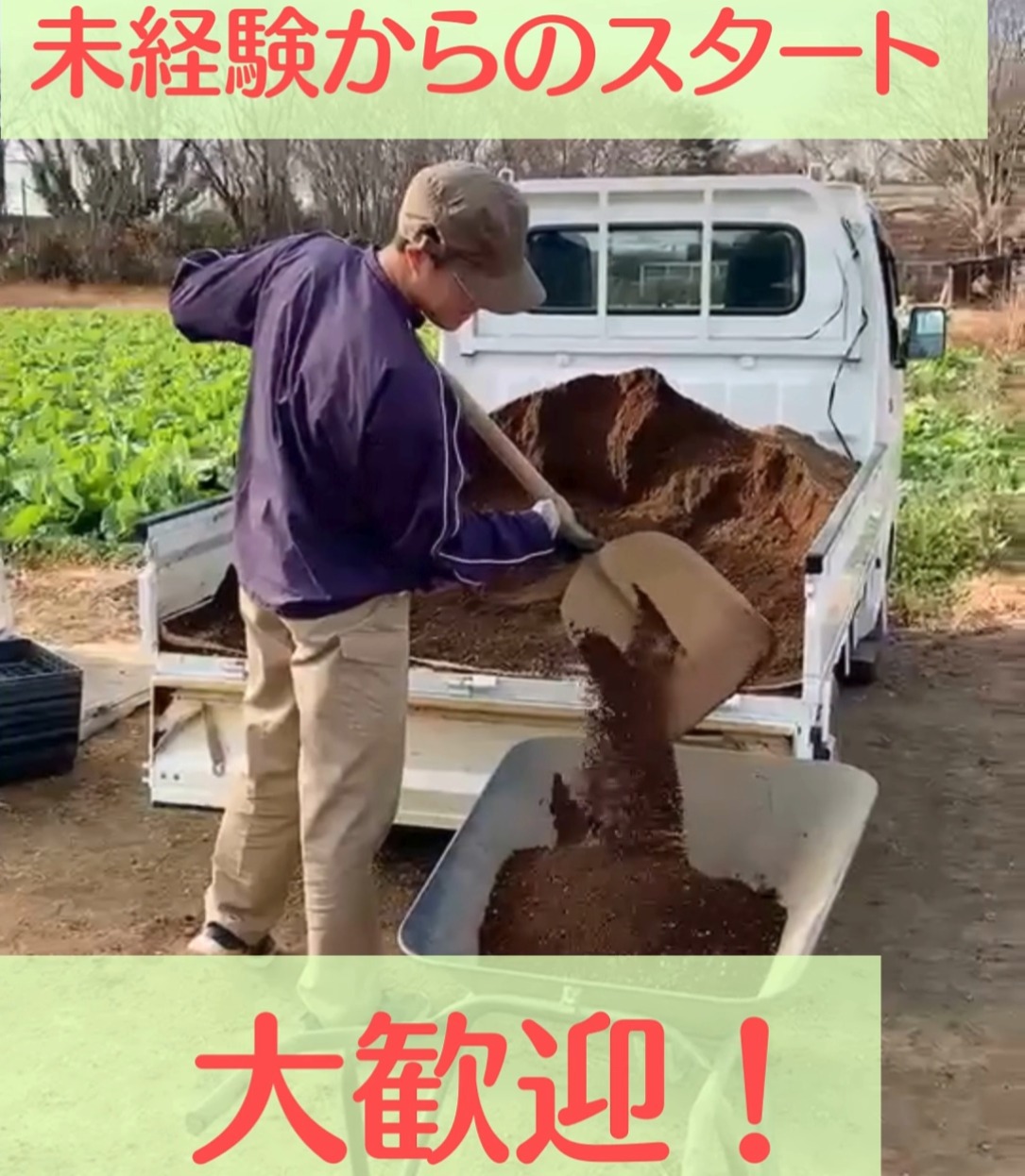 安野園芸 動画 農業（農家）