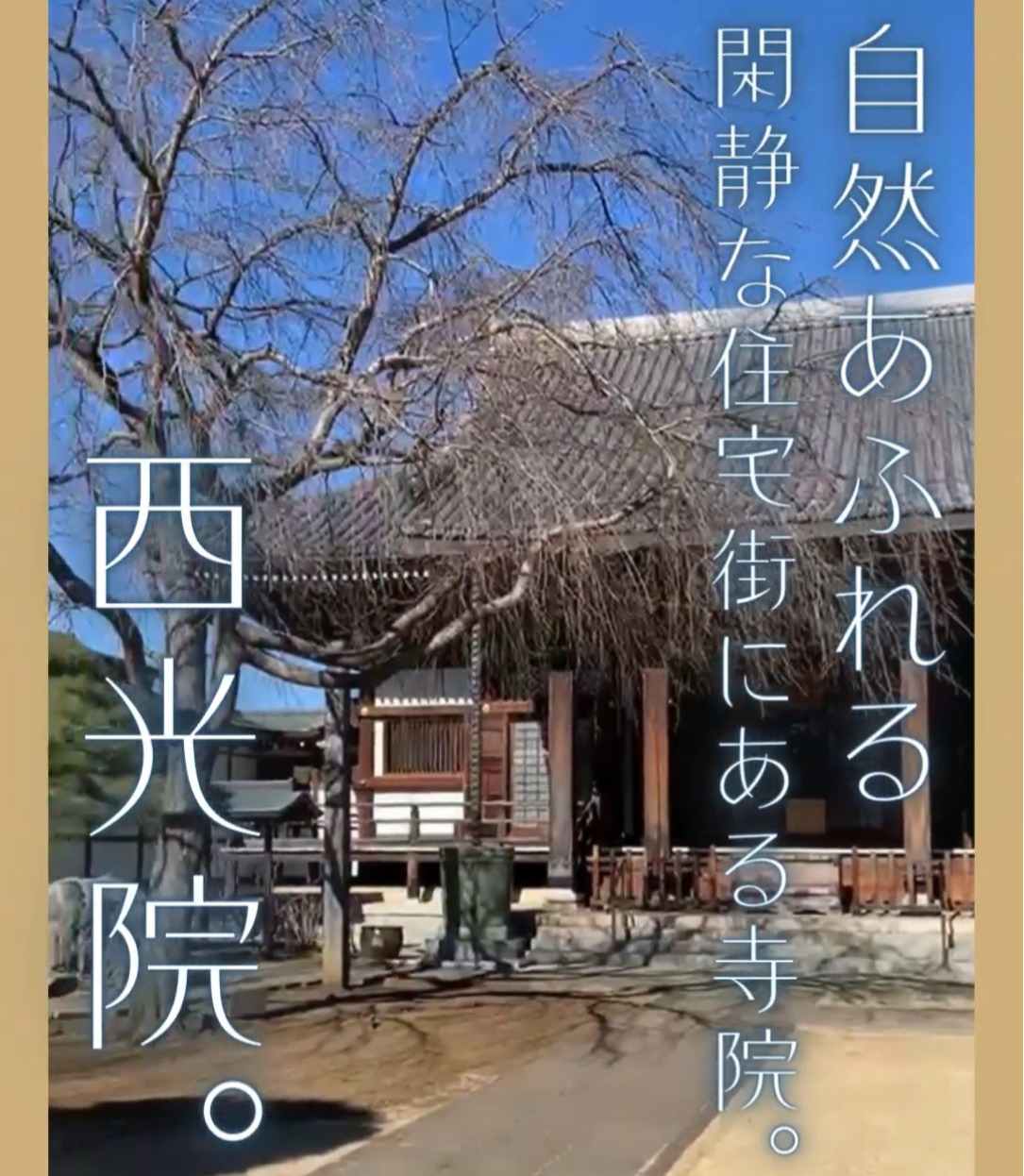 宗教法人　西光院 動画 ビル清掃