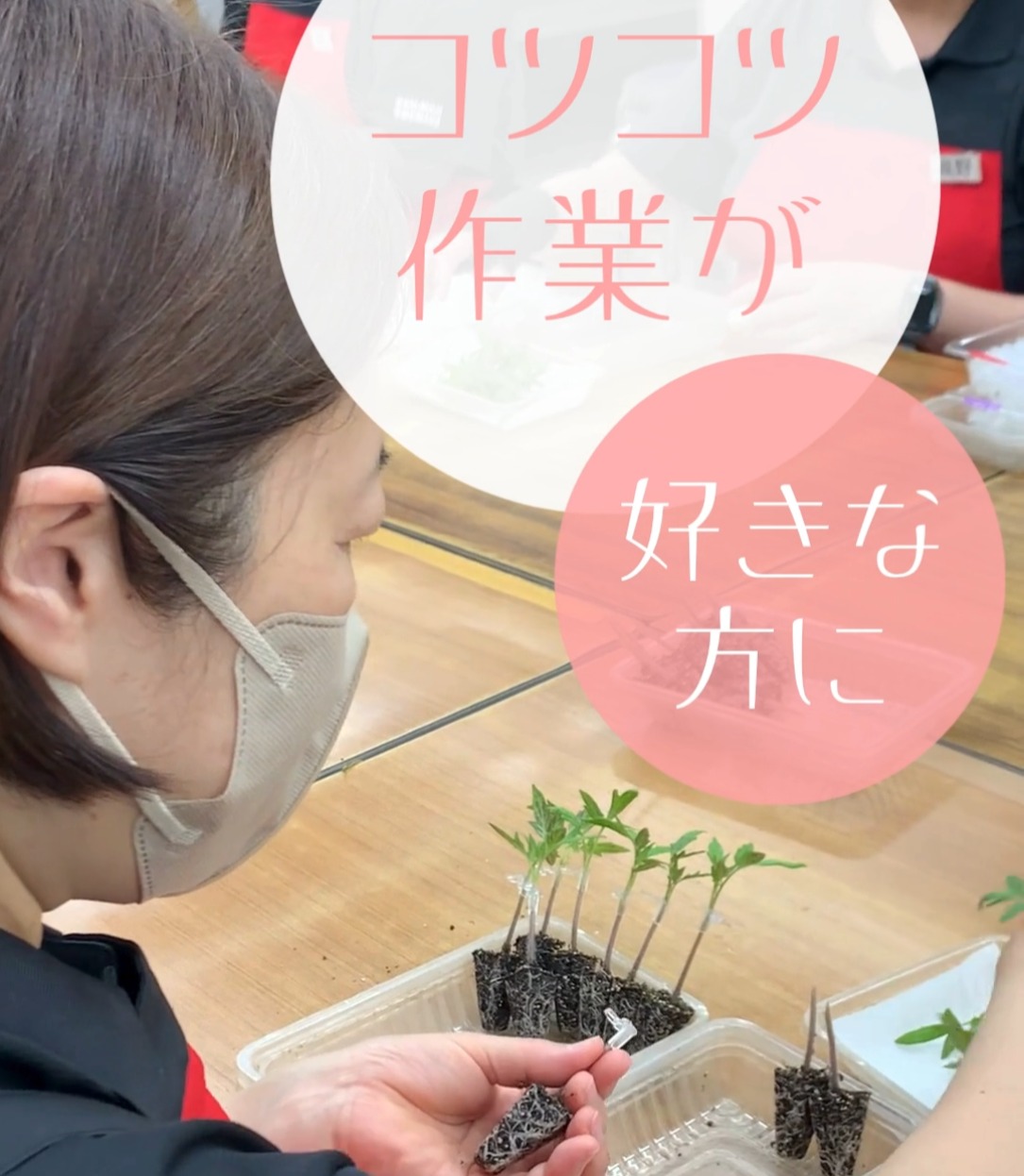 JA全農とちぎ　園芸種苗総合センター 動画 入出庫・商品管理