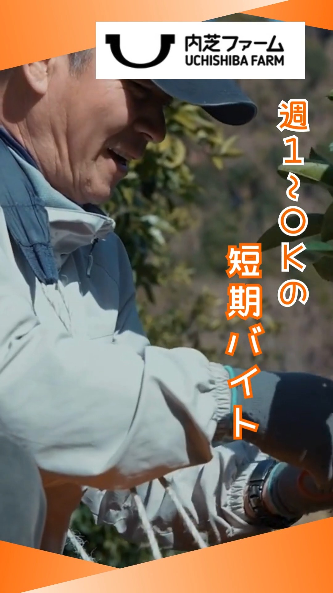株式会社内芝ファーム 動画 梱包