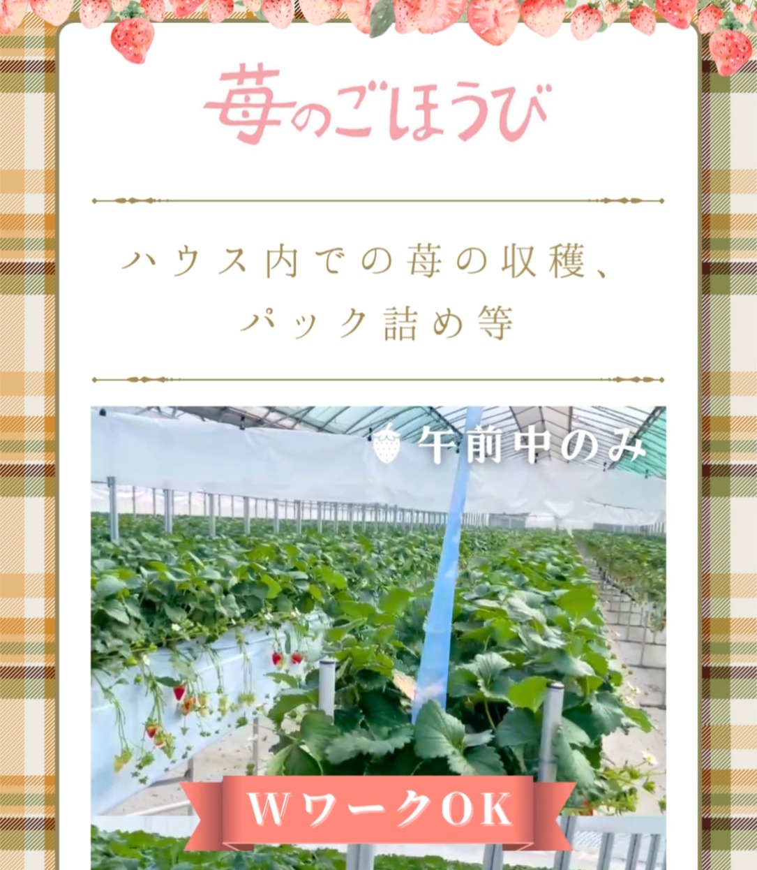 苺のごほうび 動画 梱包