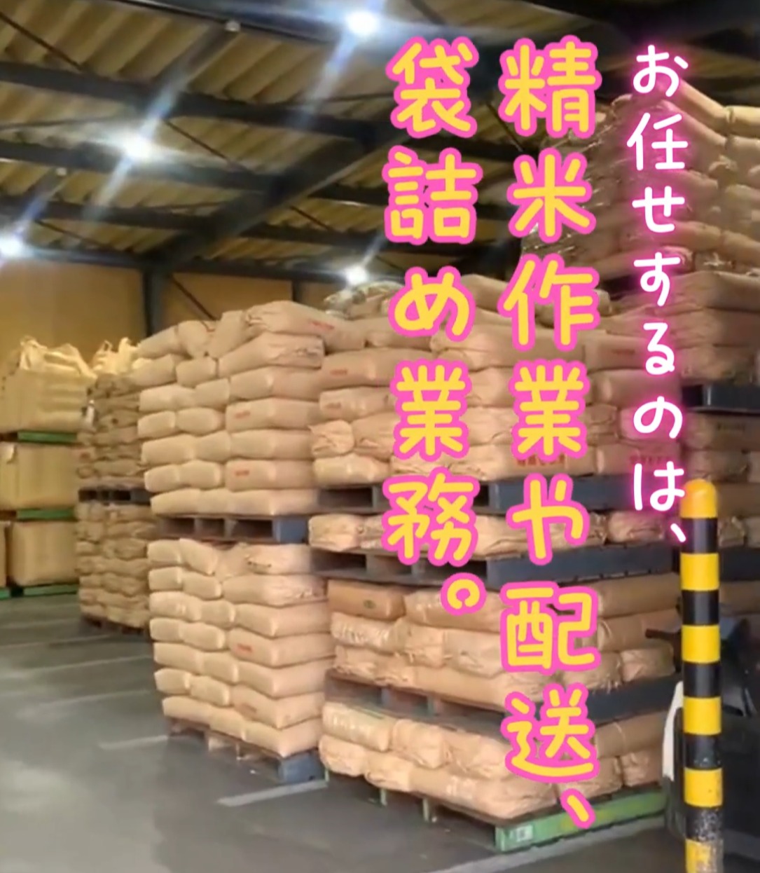 株式会社伊藤米穀 動画 その他軽作業・製造・物流