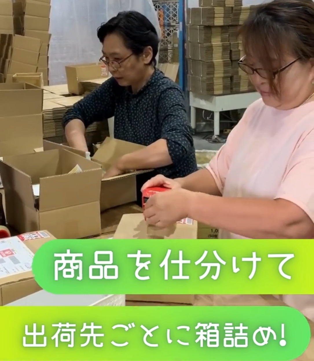 株式会社アシスト物流サービス 動画 仕分け