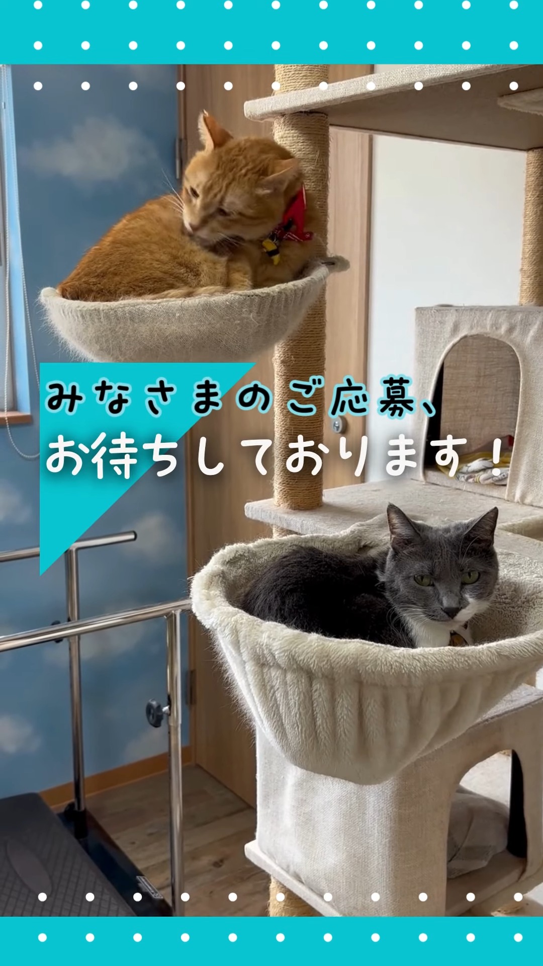 リハビリデイサービス はるか (合同会社はるか) 動画 正看護師