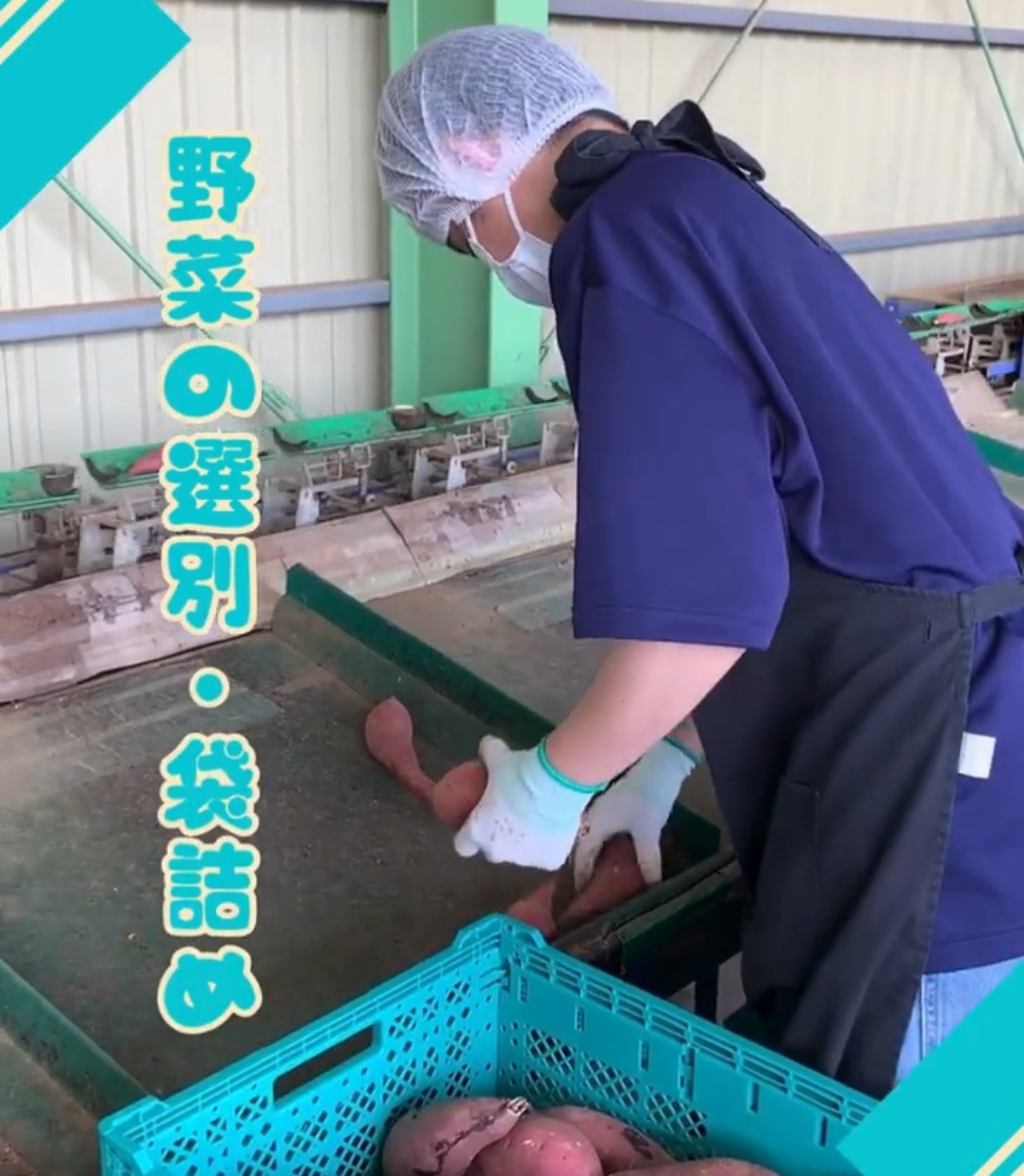 株式会社KKサービス 動画 検品・検査