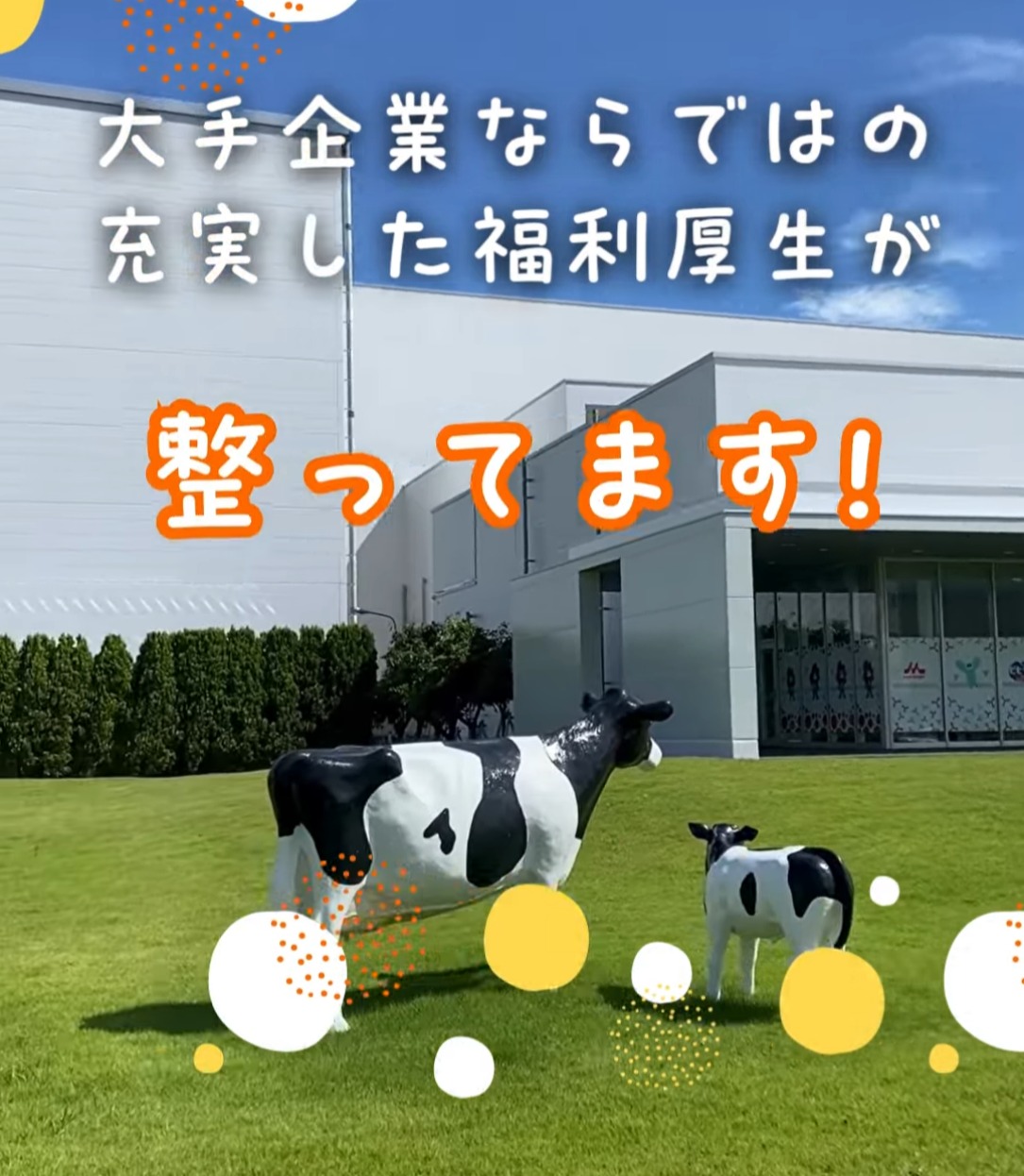 森永乳業株式会社　神戸工場 動画 食品製造
