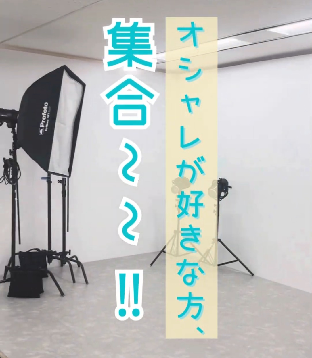 gf.E株式会社 動画 ライター