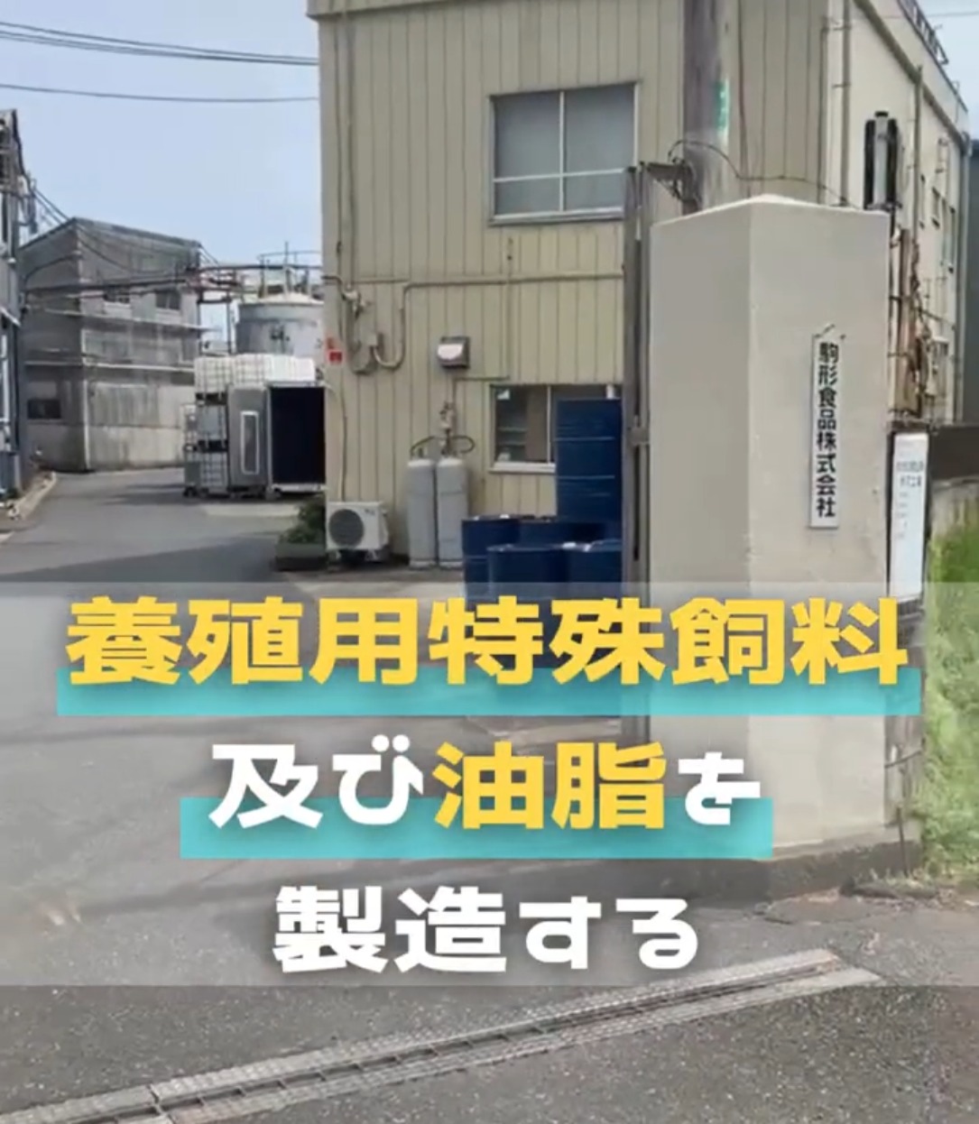 駒形食品株式会社 動画 品質管理