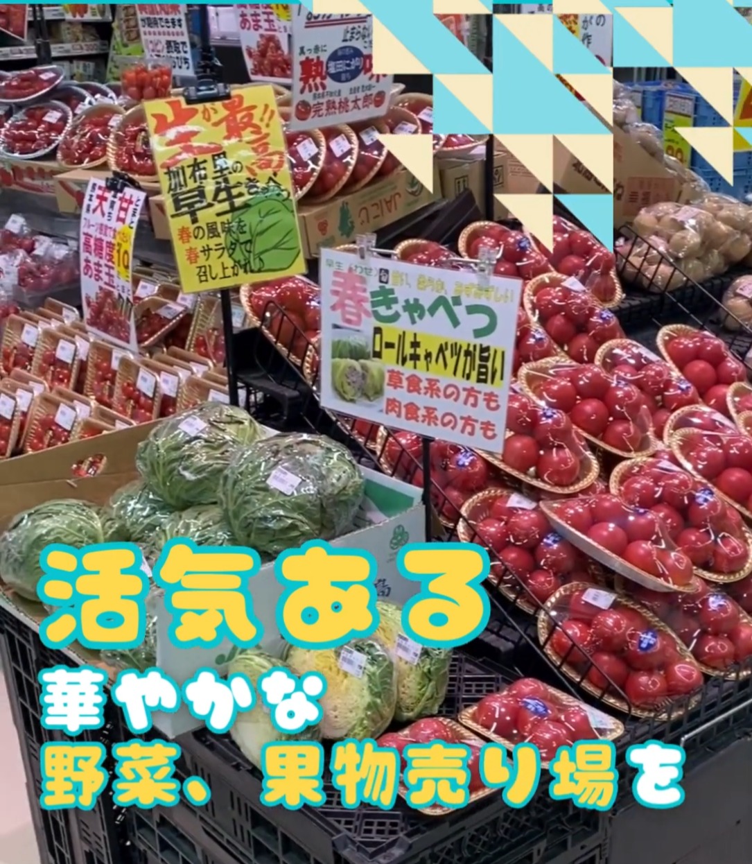 株式会社共栄フーズ 動画 スーパー