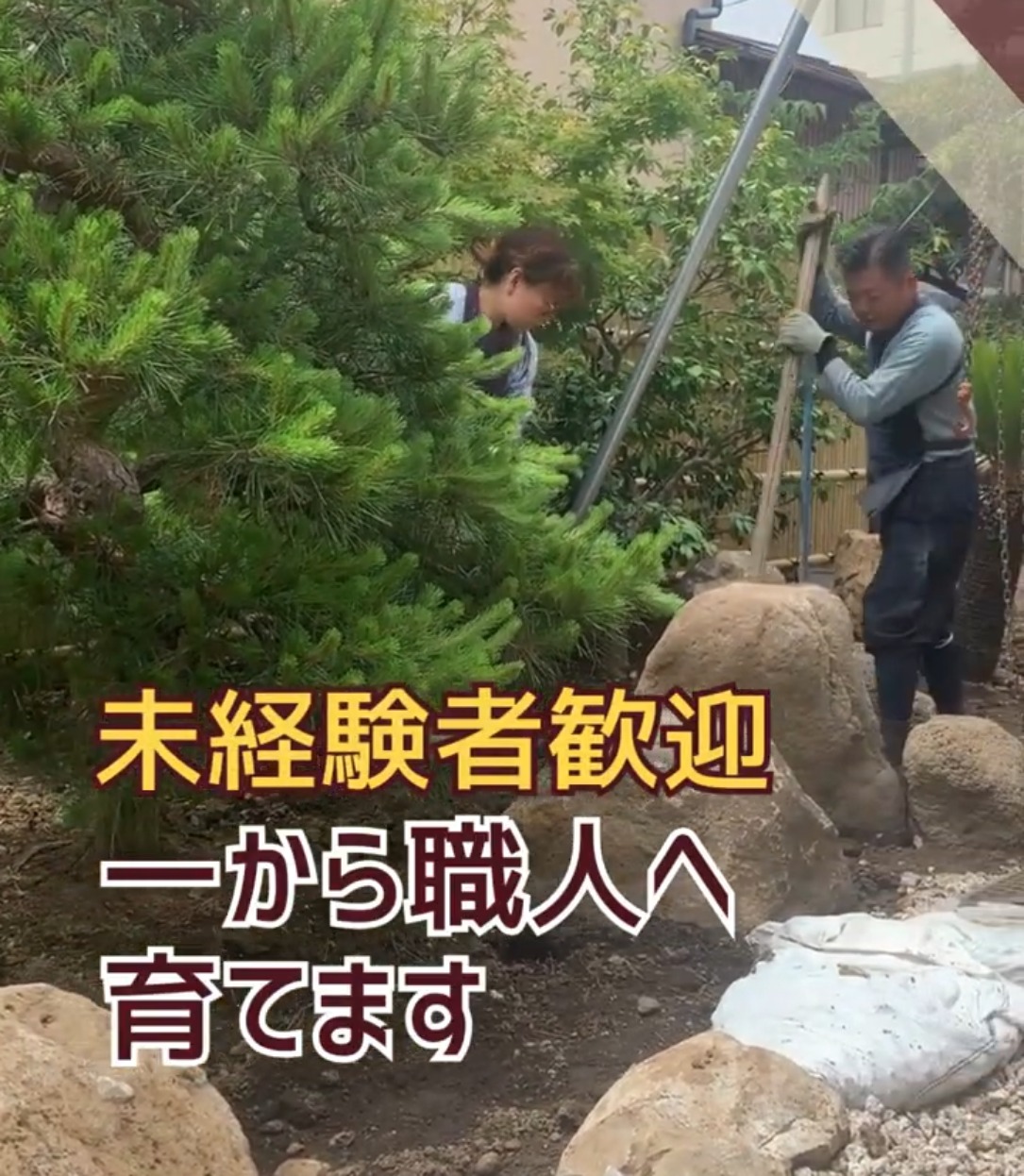 有限会社菅原造園 動画 造園