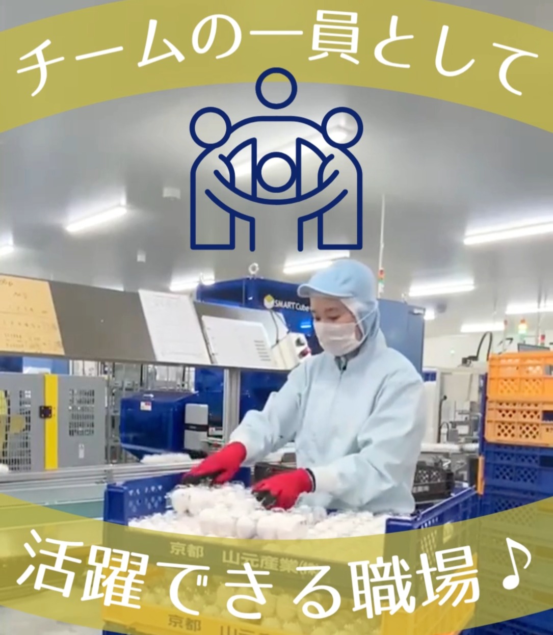 有限会社三和鶏園　京都亀岡GPセンター 動画 入出庫・商品管理