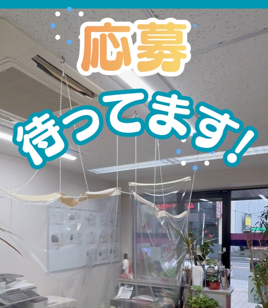 有限会社カネコ住販 動画 受付