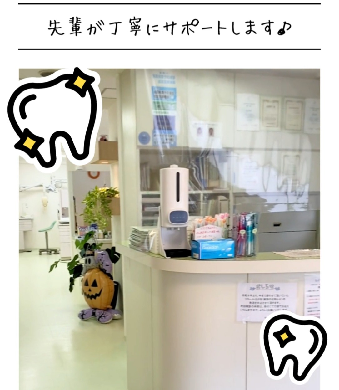 たけざわ歯科医院 動画 歯科衛生士